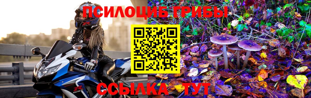 Псилоцибиновые грибы Psilocybe  Вход с VPN  Оренбург 